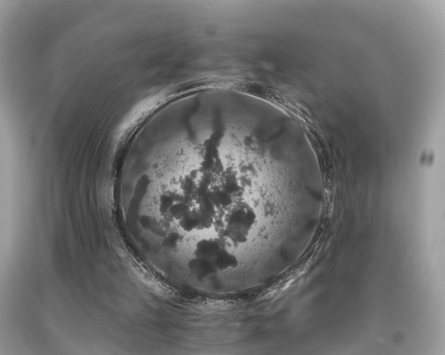 X0000091940149200709051529