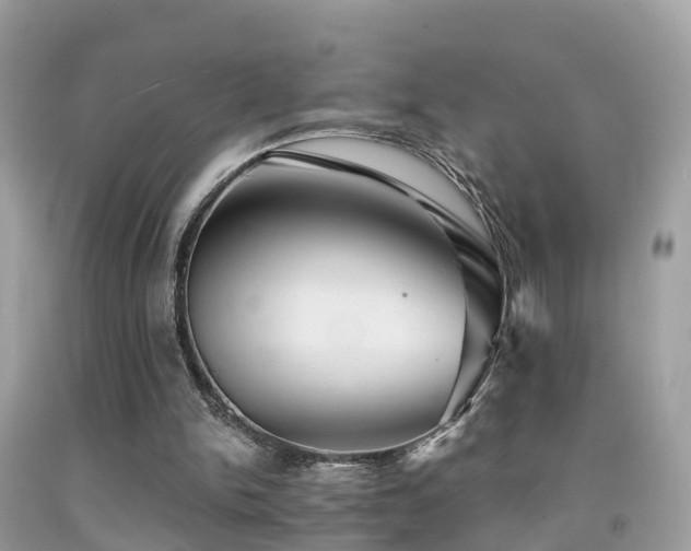 X0000091940150200709051529