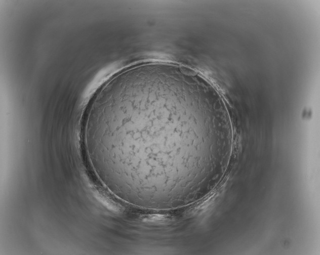 X0000091940151200709051529