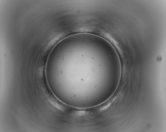 X0000091940153200709051529