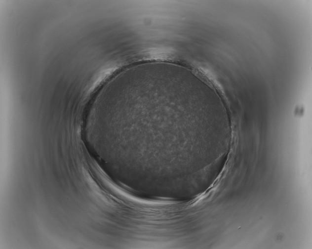 X0000091940154200709051529