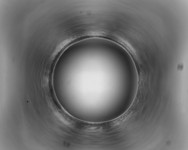 X0000091940155200709051529