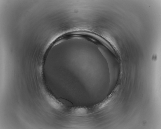 X0000091940156200709051529