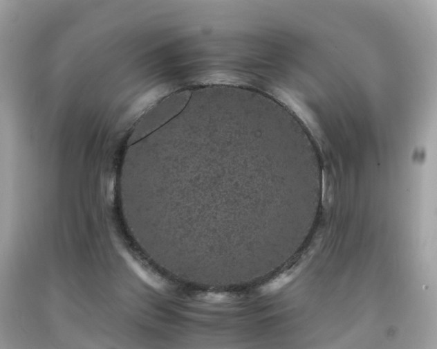 X0000091940157200709051529