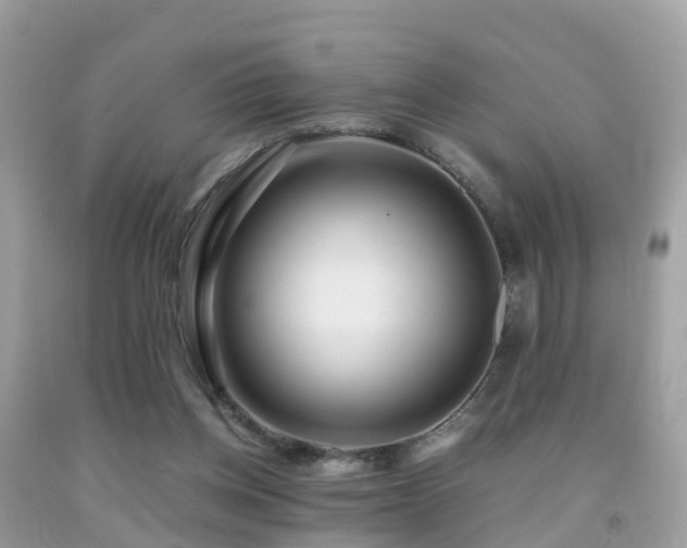 X0000091940158200709051529