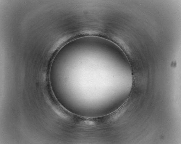 X0000091940159200709051529