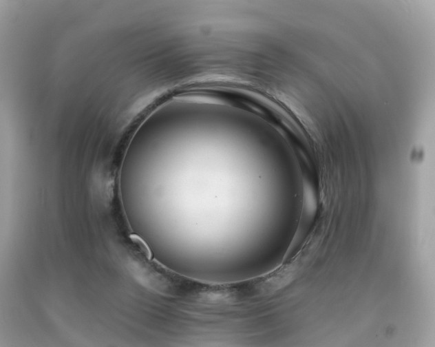 X0000091940160200709051529