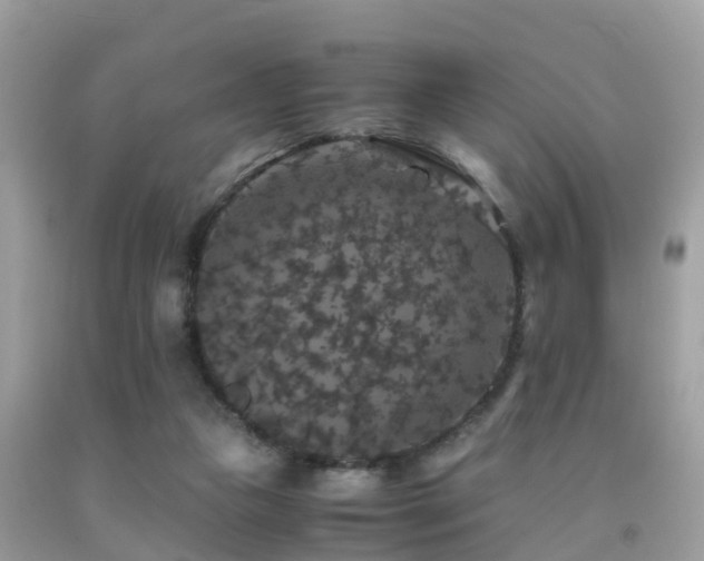 X0000091940161200709051529