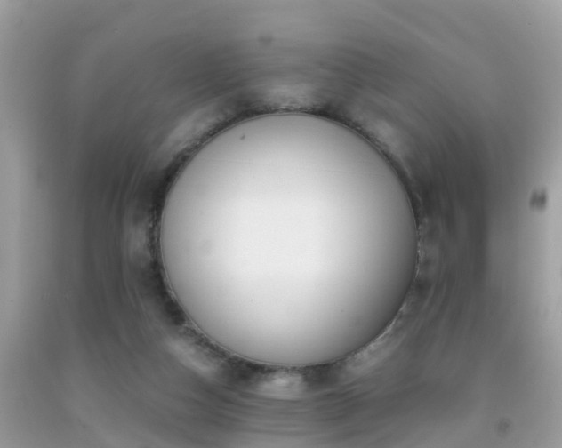 X0000091940162200709051529