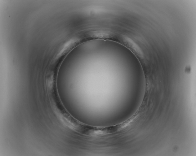 X0000091940163200709051529