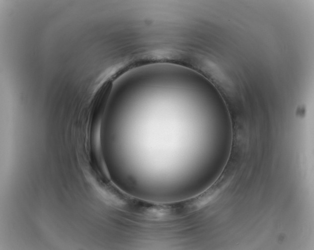 X0000091940164200709051530