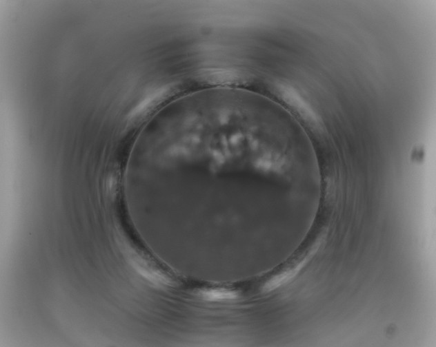 X0000091940165200709051530