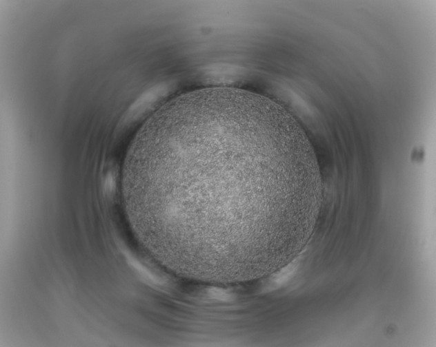 X0000091940166200709051530