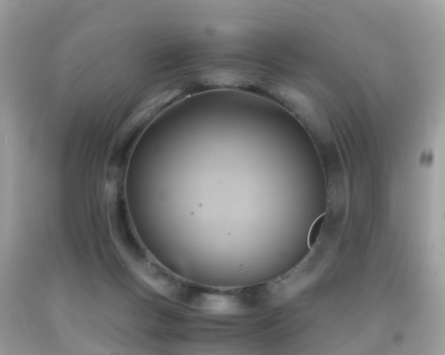 X0000091940167200709051530