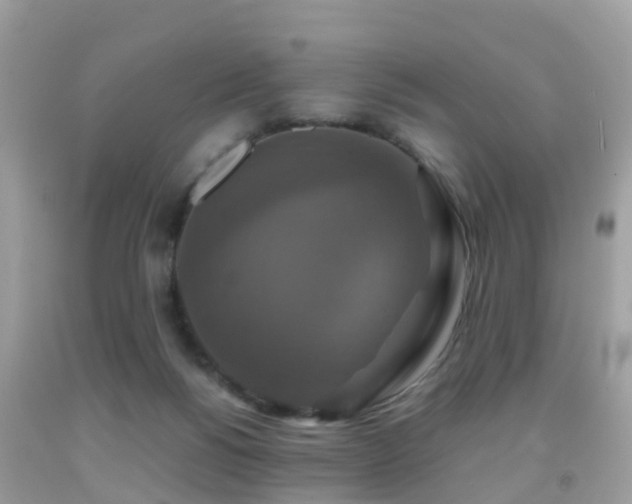 X0000091940168200709051530