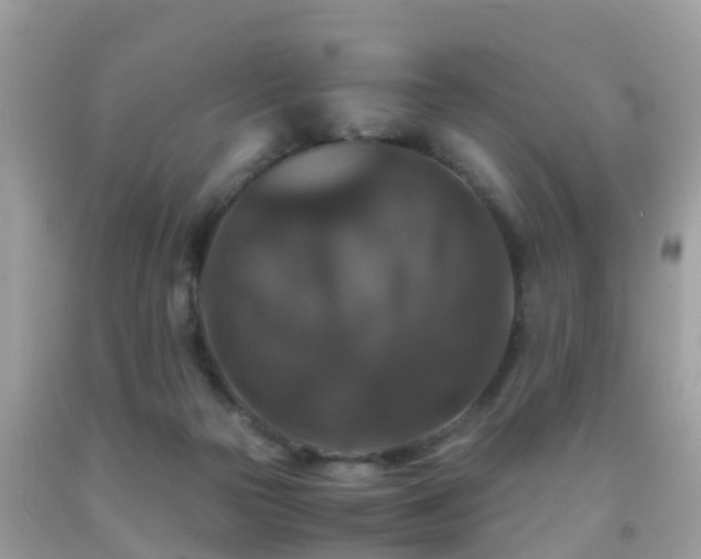 X0000091940169200709051530