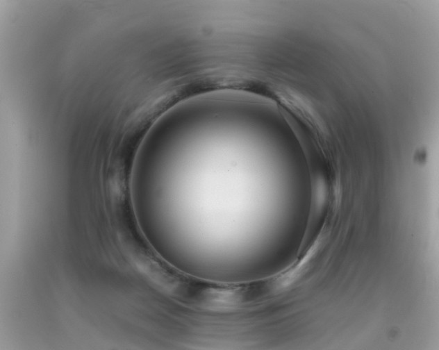 X0000091940170200709051530