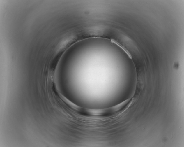 X0000091940172200709051530