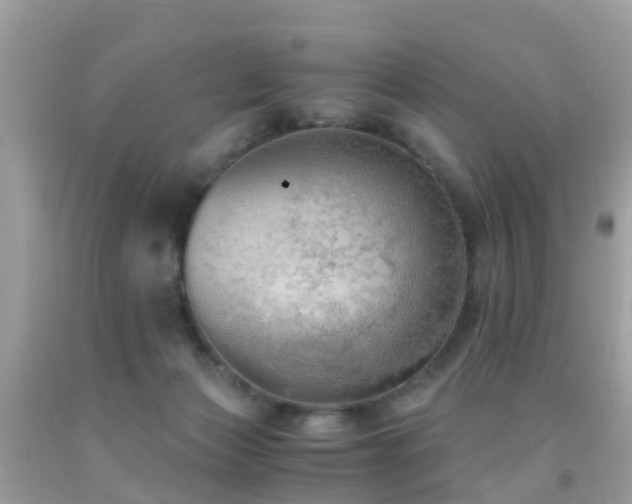 X0000091940173200709051530