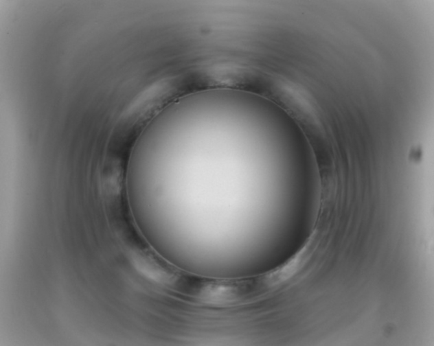 X0000091940174200709051530