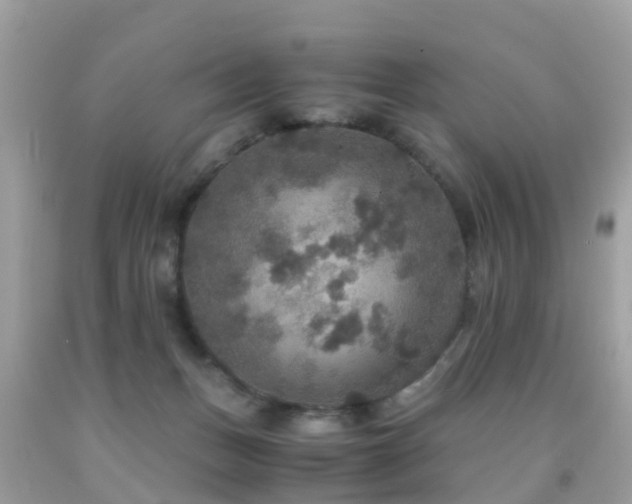 X0000091940175200709051530