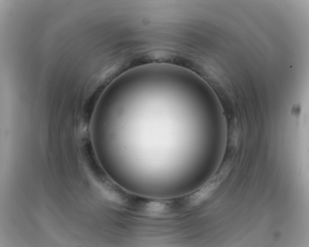 X0000091940176200709051530