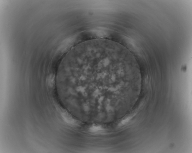 X0000091940177200709051530