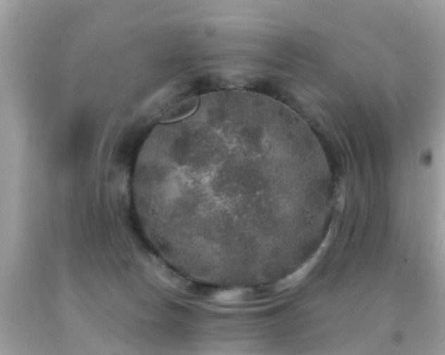 X0000091940178200709051530