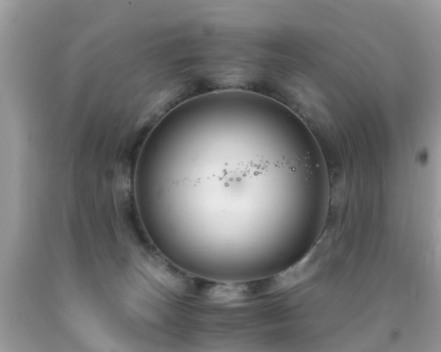 X0000091940179200709051530