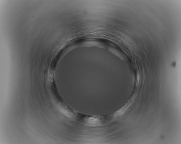 X0000091940180200709051530