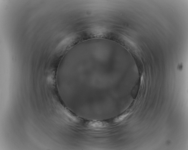 X0000091940181200709051530