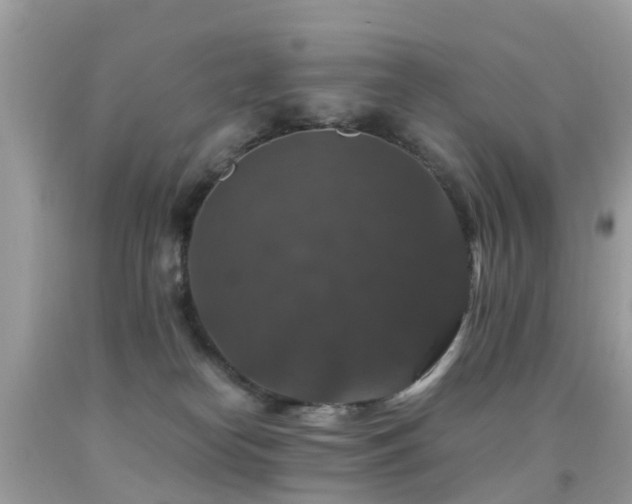 X0000091940182200709051530