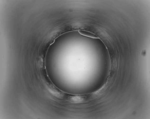 X0000091940183200709051530