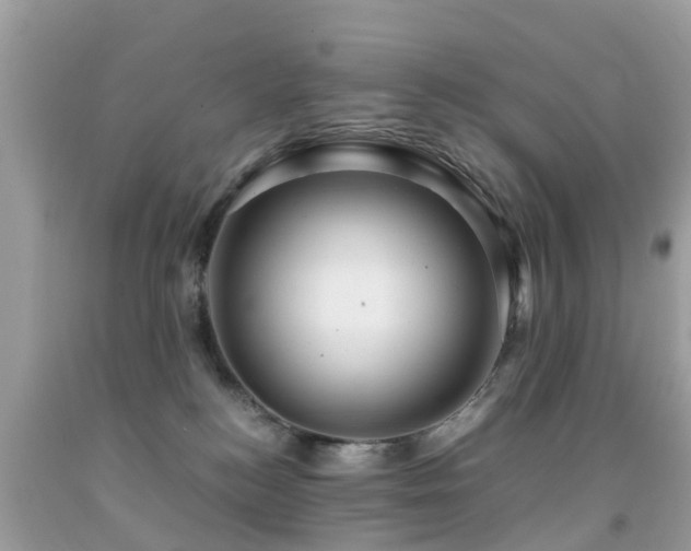 X0000091940184200709051530