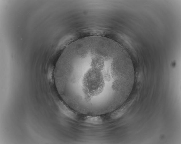 X0000091940185200709051530