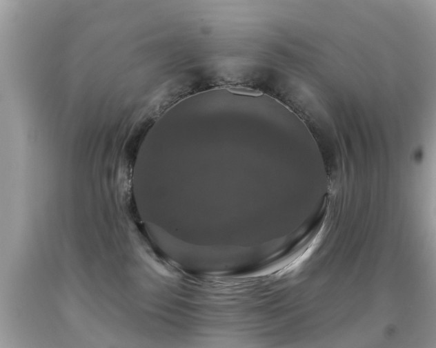 X0000091940186200709051530