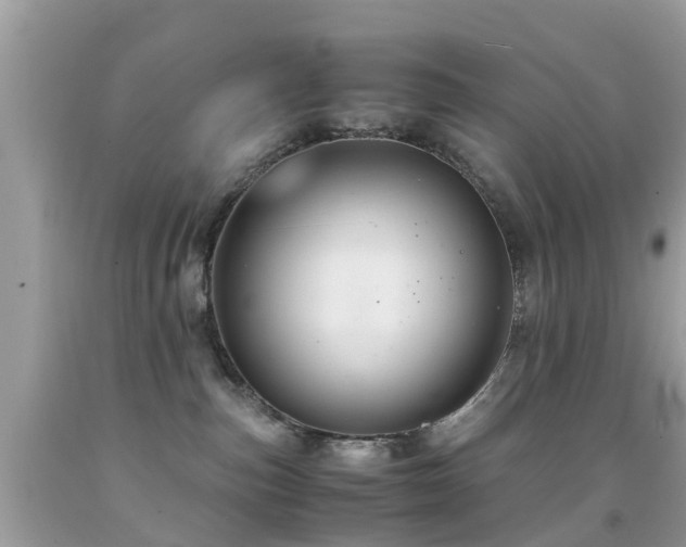 X0000091940187200709051530