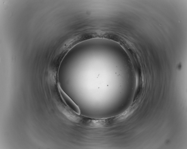 X0000091940188200709051530