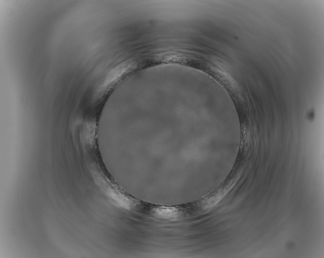 X0000091940189200709051530