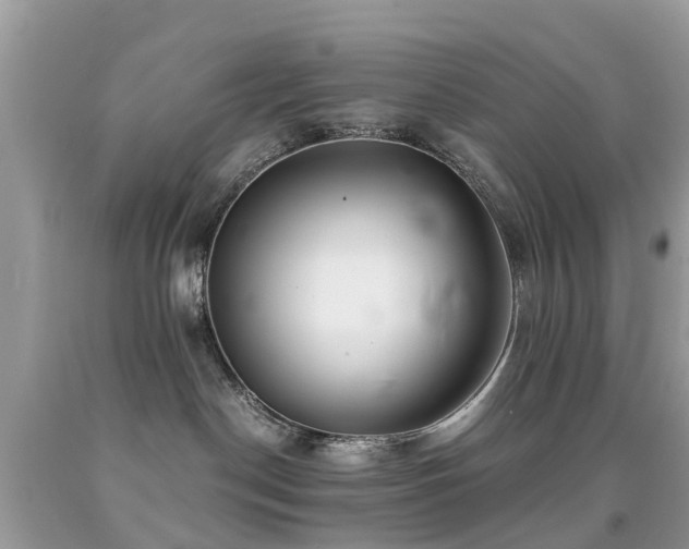 X0000091940190200709051530