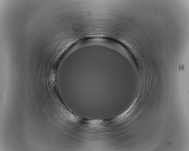 X0000091940192200709051530