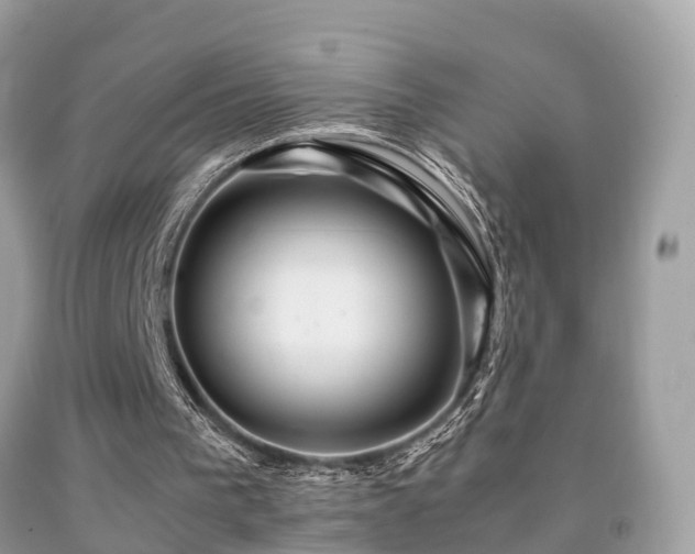 X0000091940193200709051529