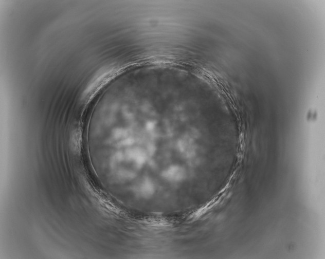 X0000091940194200709051529