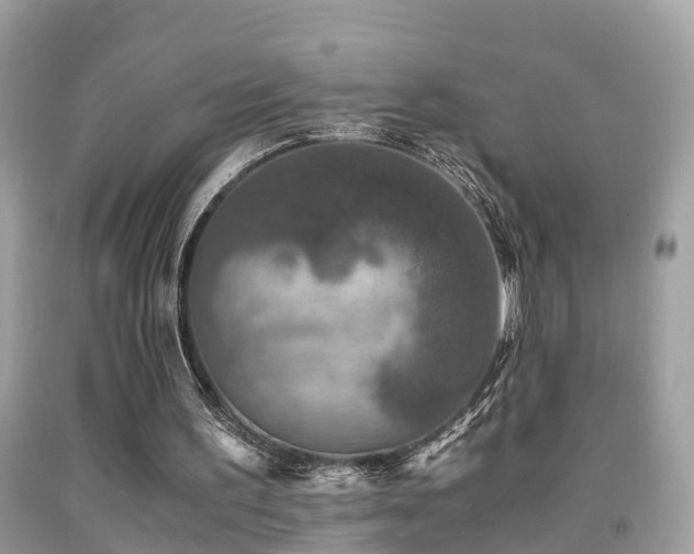 X0000091940195200709051529