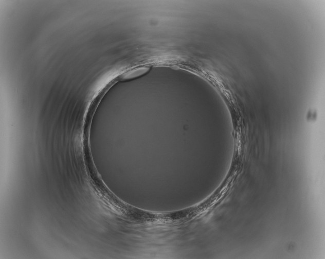 X0000091940196200709051529