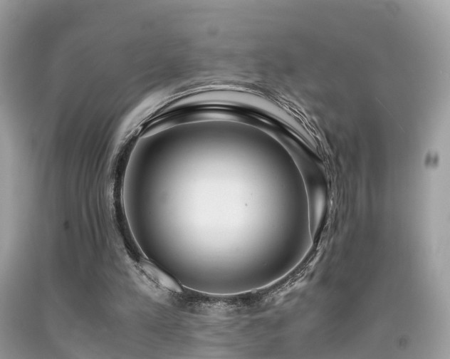 X0000091940197200709051529