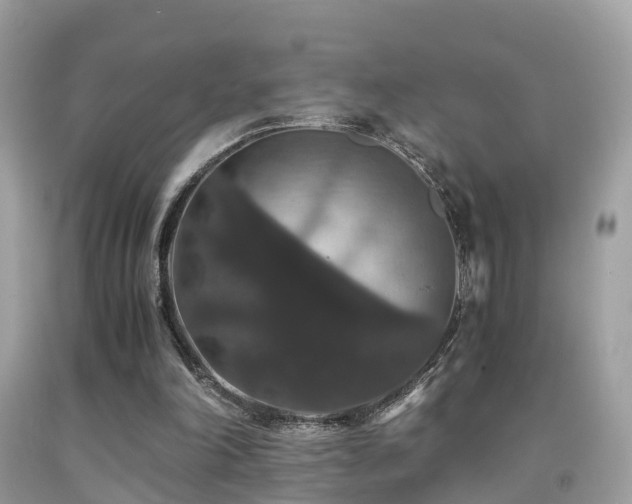 X0000091940198200709051529