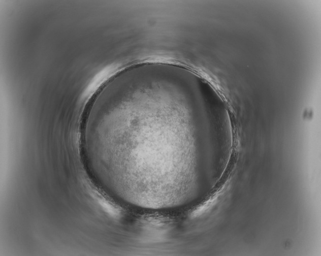 X0000091940199200709051529