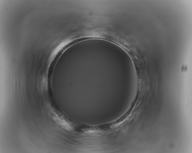 X0000091940200200709051529