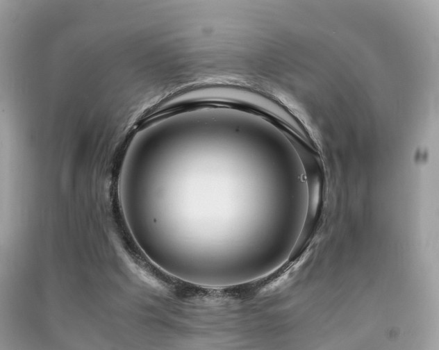 X0000091940201200709051529